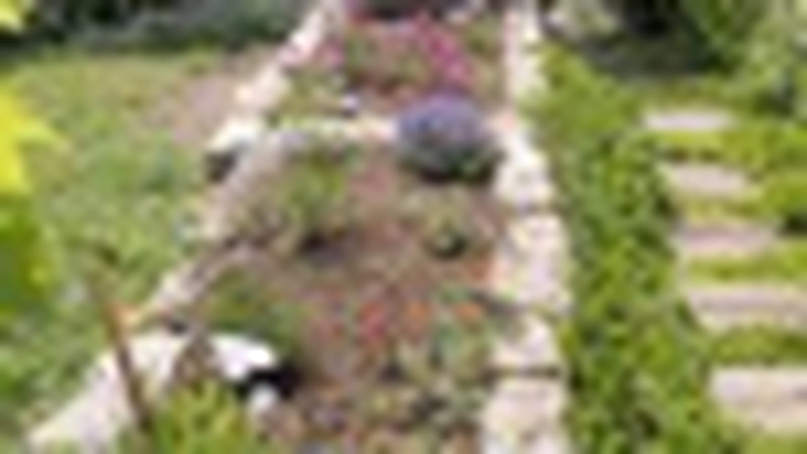 Jardinières géantes