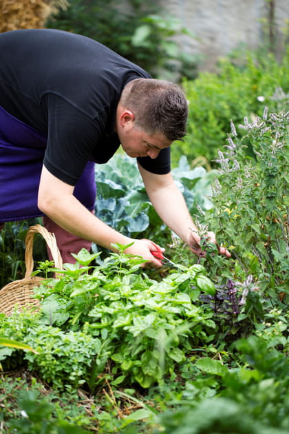 Différentes parcelles
