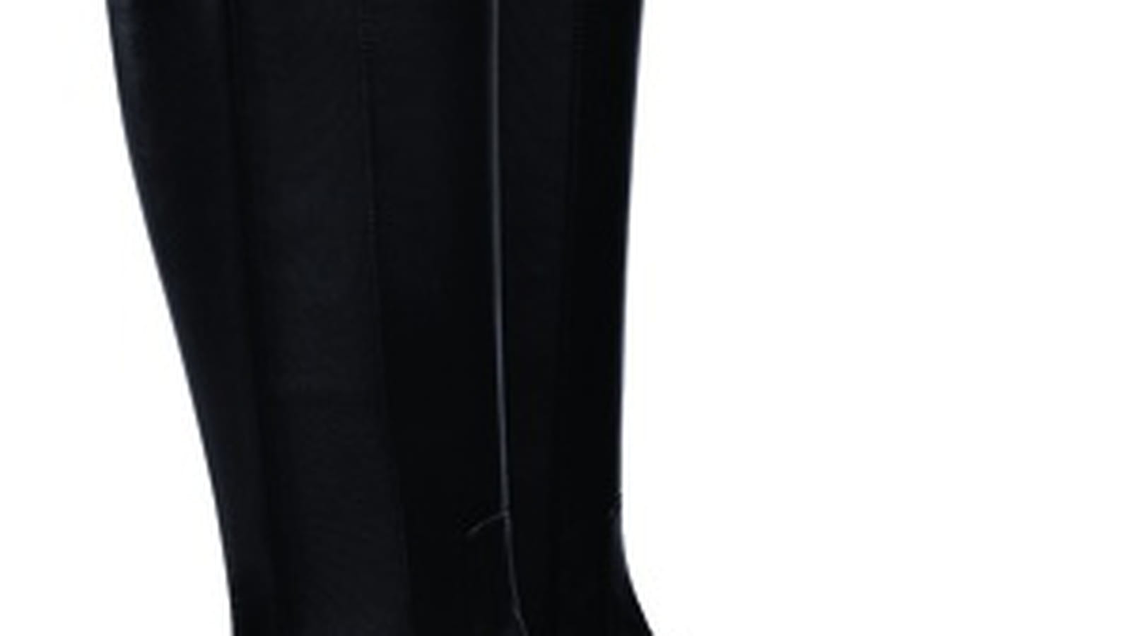 Bottes "Balzane" de Longchamp