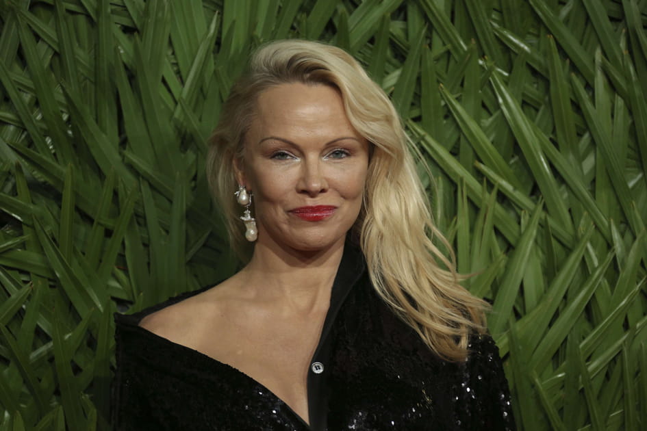 Le fard &agrave; paupi&egrave;res brun de Pamela Anderson