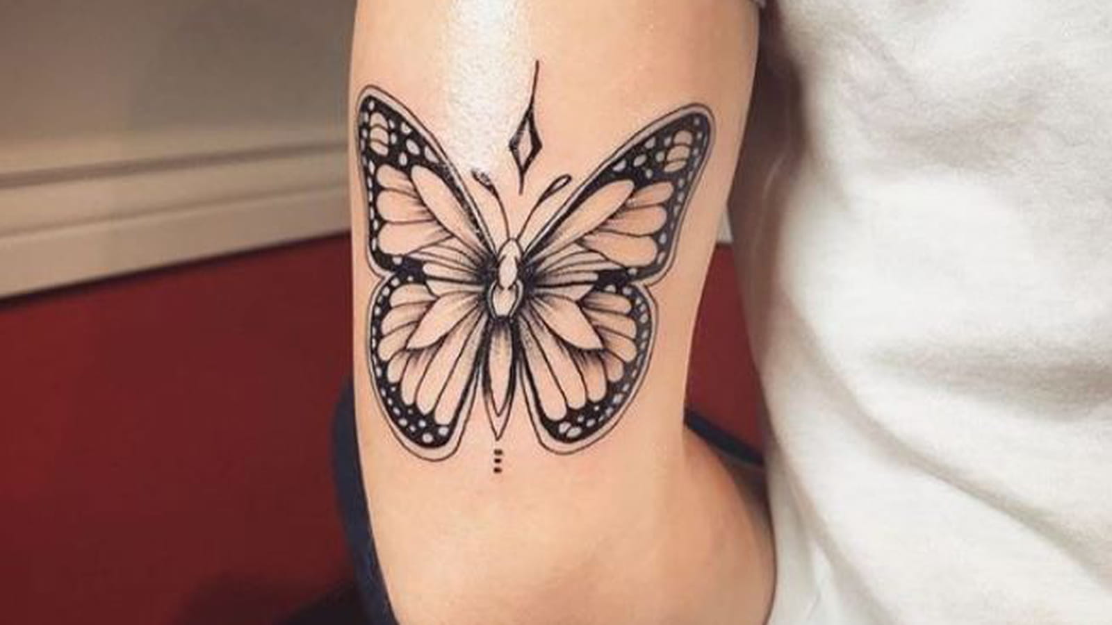 Le papillon
