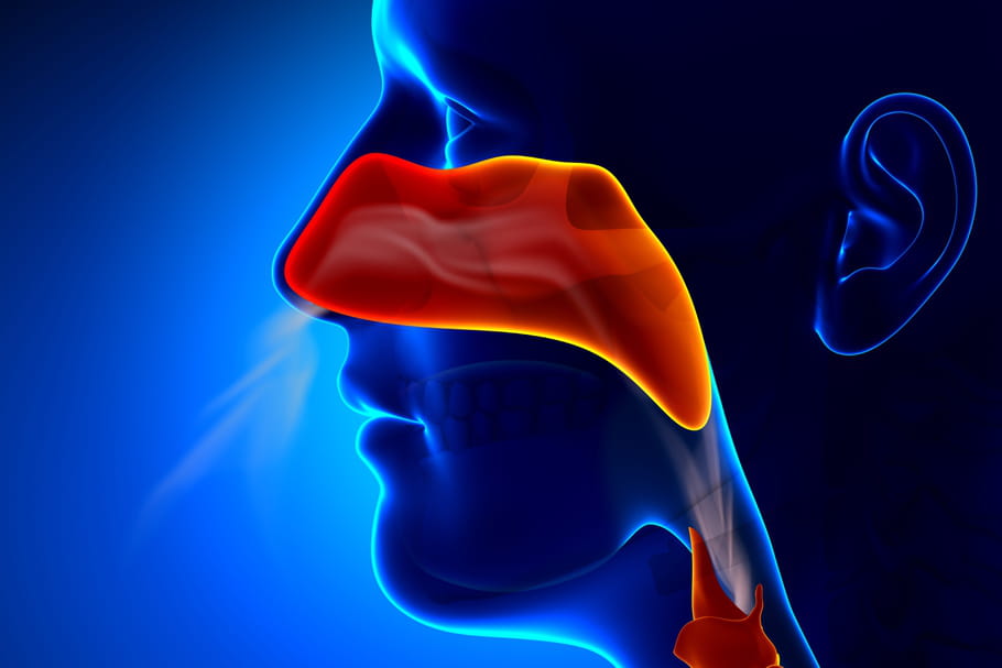 Scanner des sinus : comment il se déroule, comment le lire ?