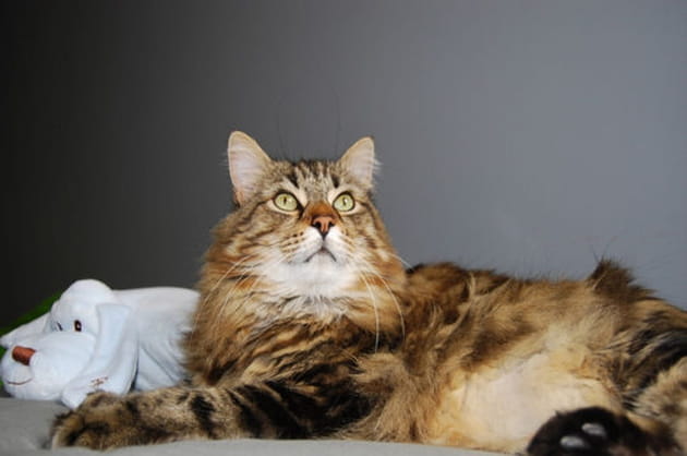 En pleine pens&eacute;e