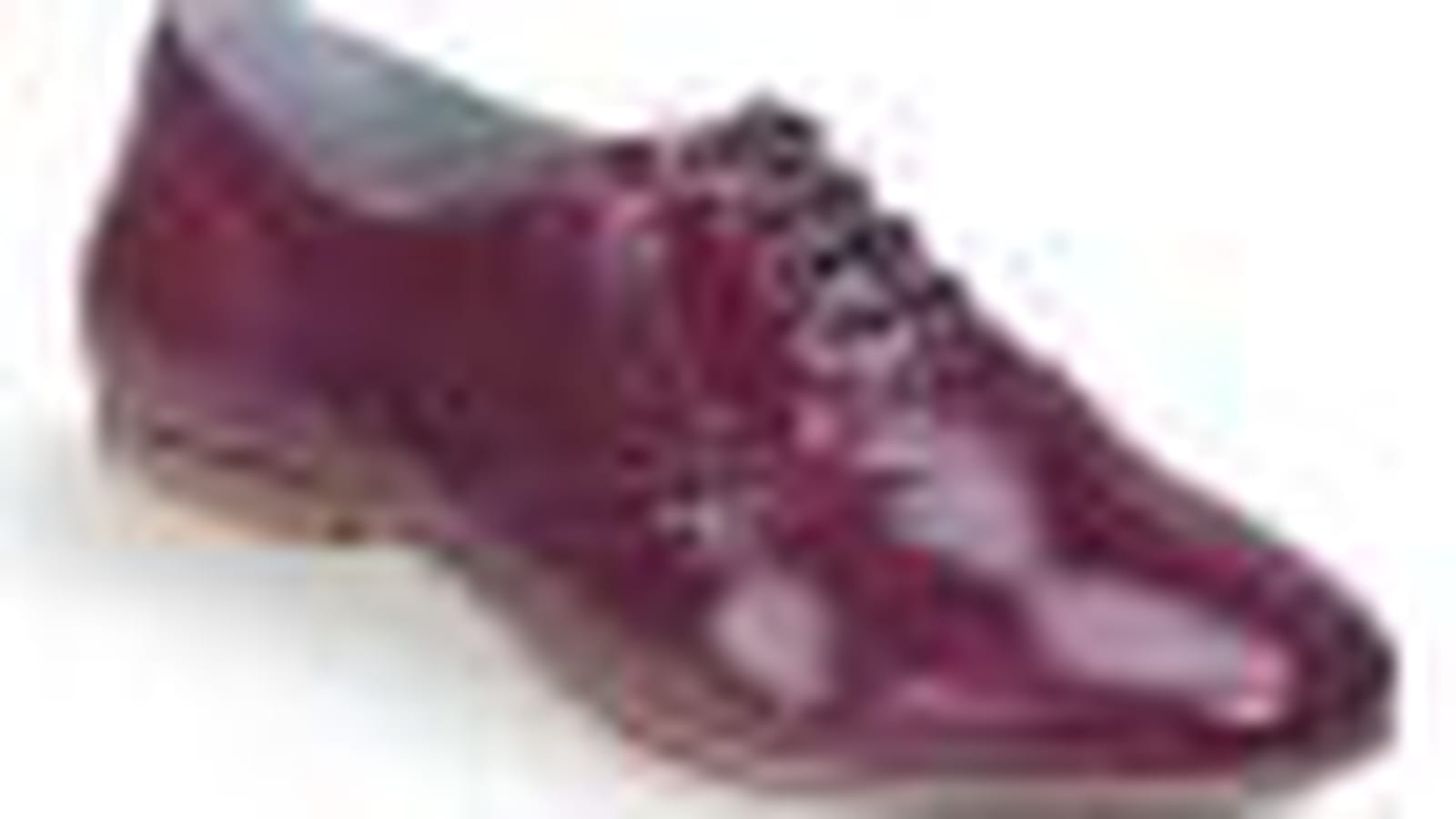 Derbies de Salamander