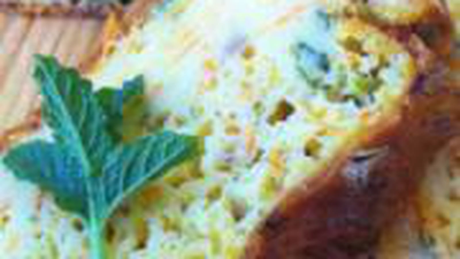 Cake courgettes, carottes, menthe fraîche