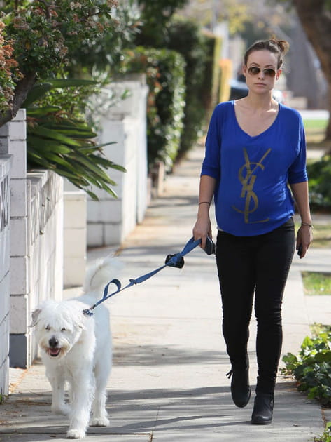 Olivia Wilde et son briard