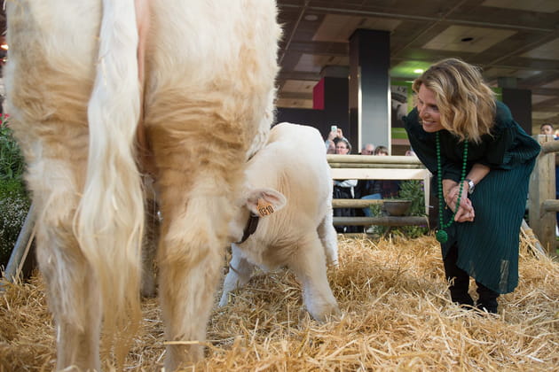Sylvie Tellier en fait tout un foin