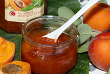 Confiture d'abricots à la sauge : Etape 1