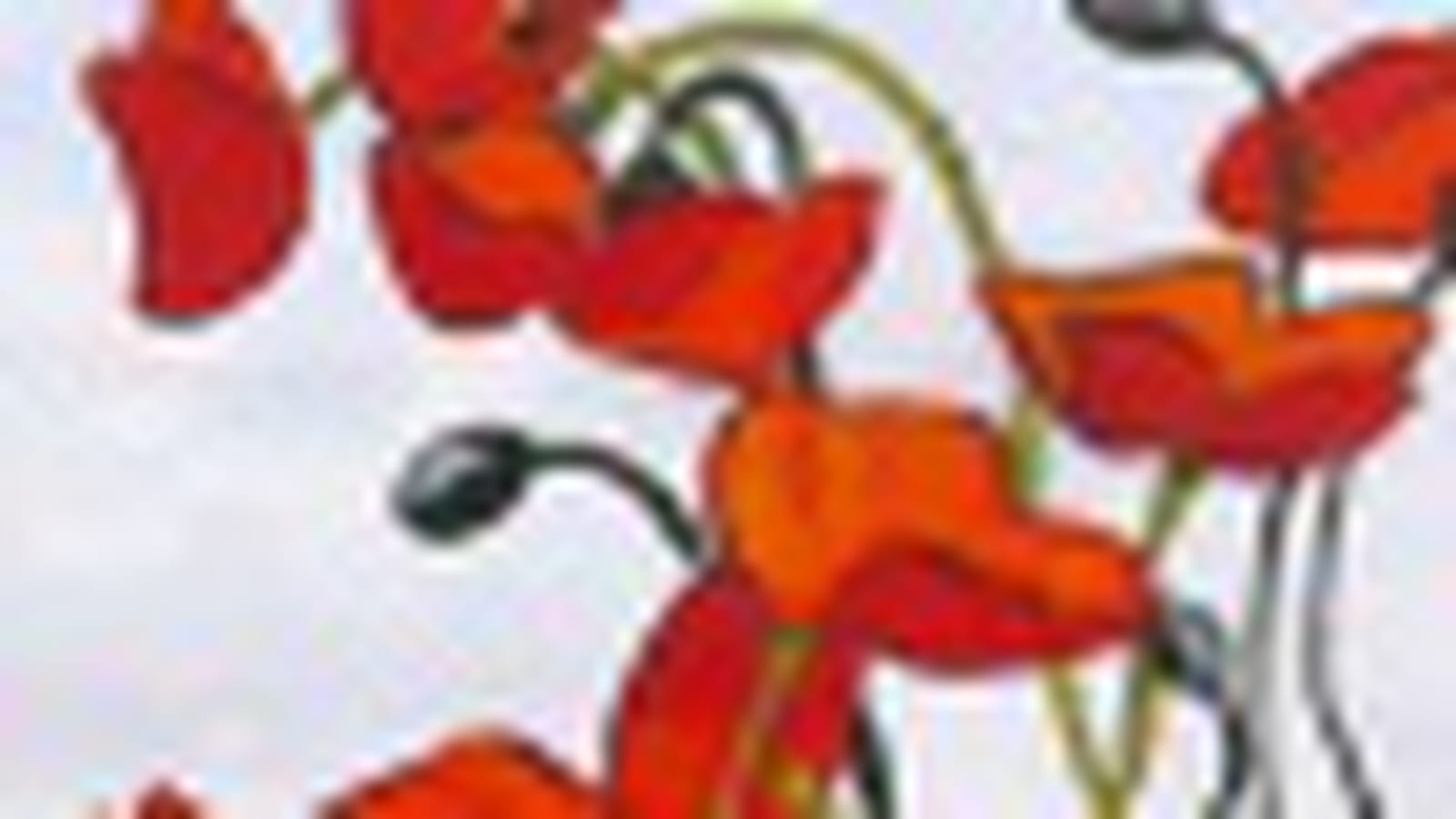 Coquelicots