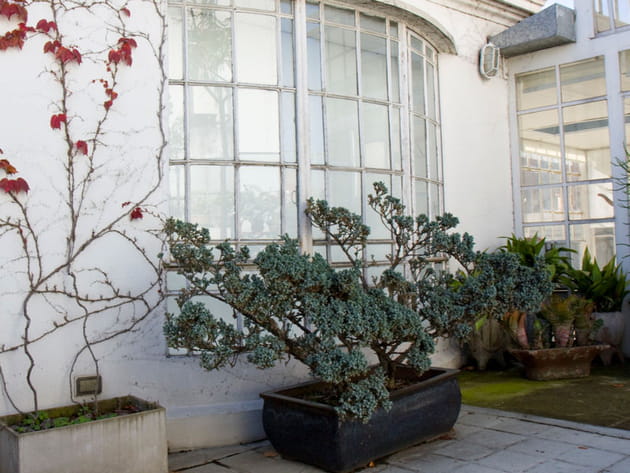 Charme &agrave; l'ancienne