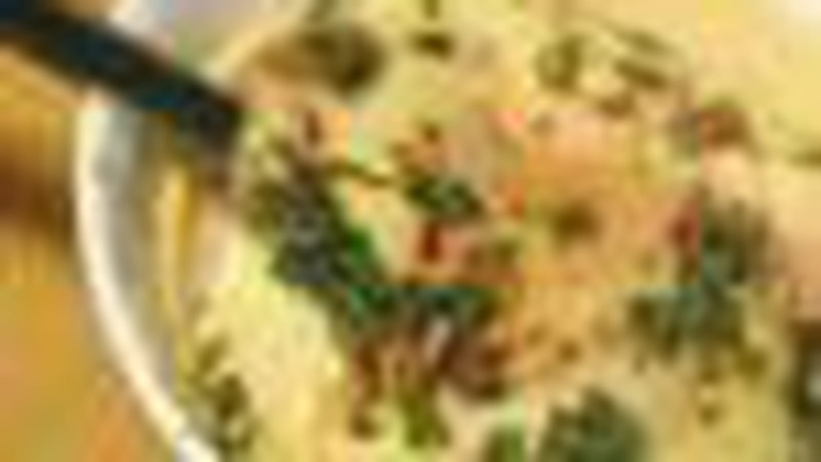 Raviolis de légumes 