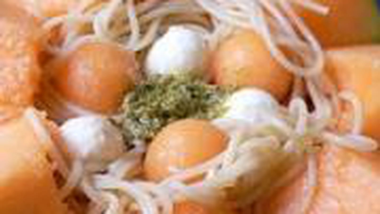 Salade de pâtes melon-pesto
