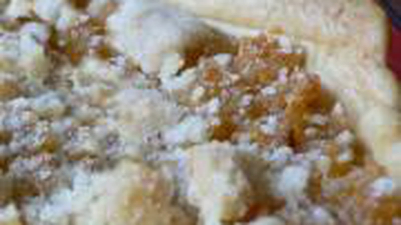 Tarte douce et fondante aux navets