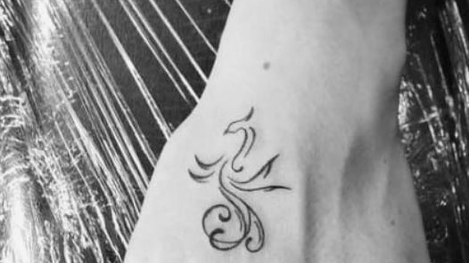 Phoenix fin sur la main
