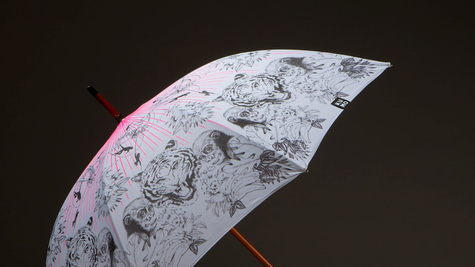 Parapluie