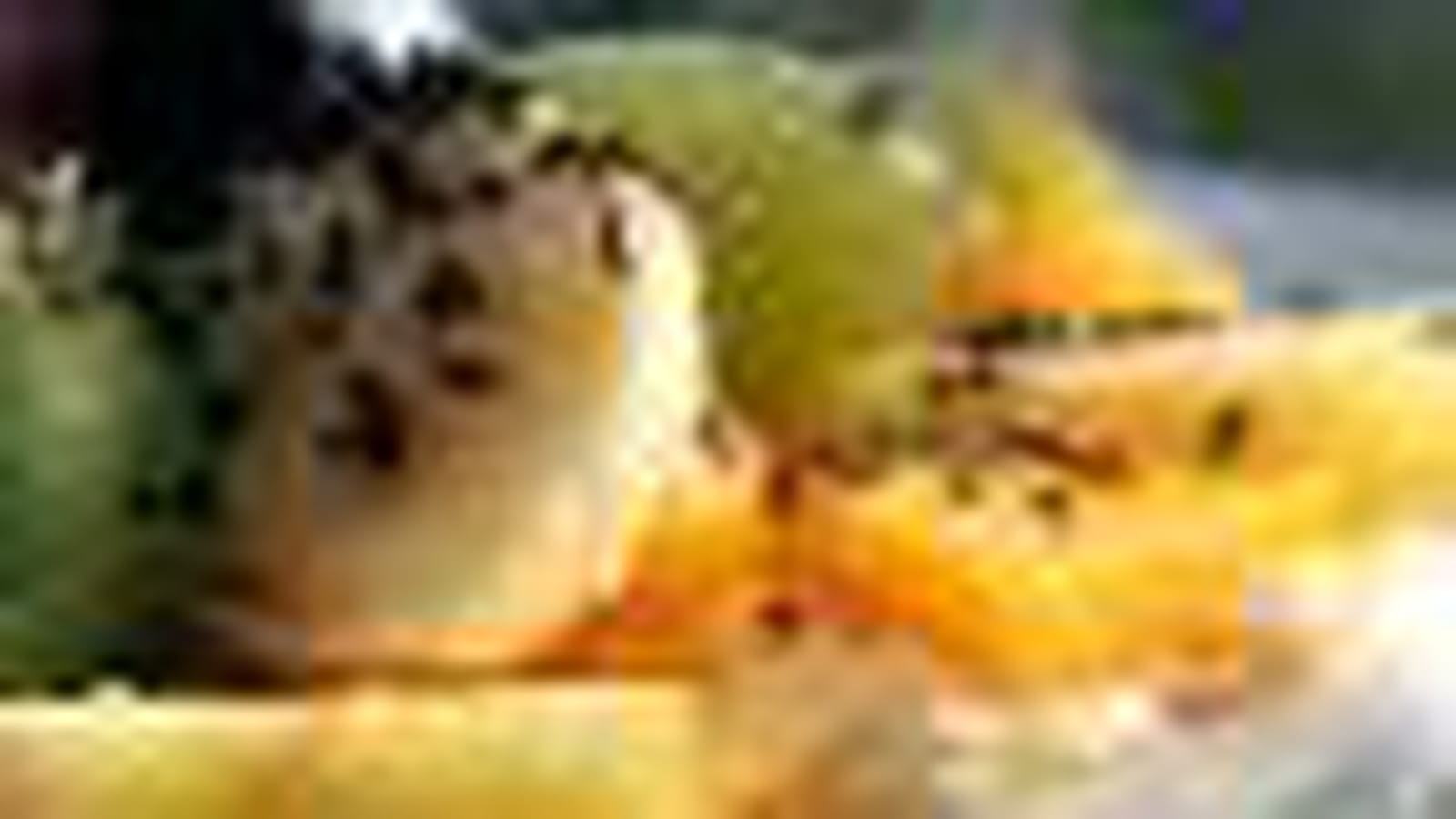 Fruits exotiques
