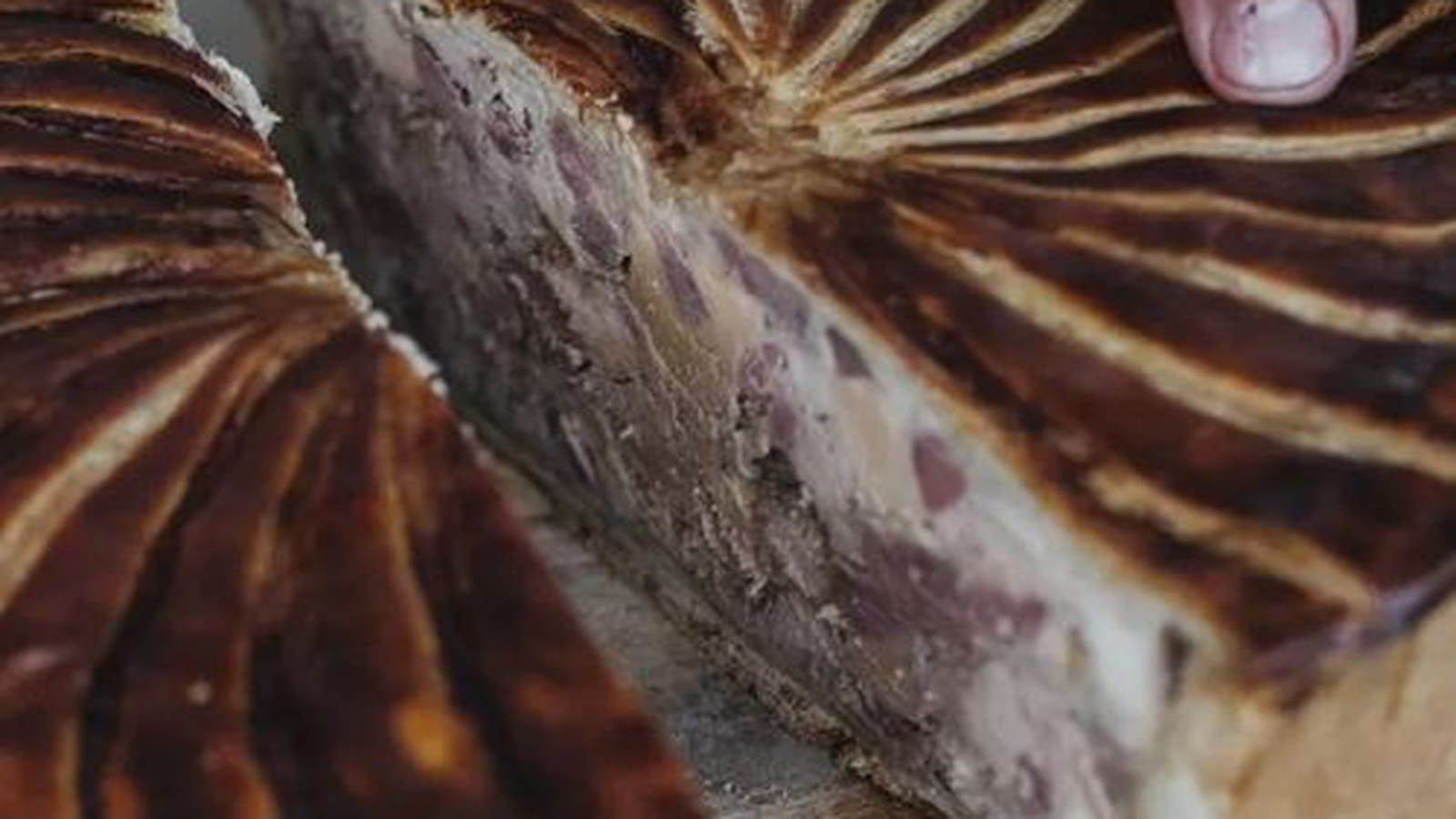 Pâté en croûte d'Alexis Le Tadic
