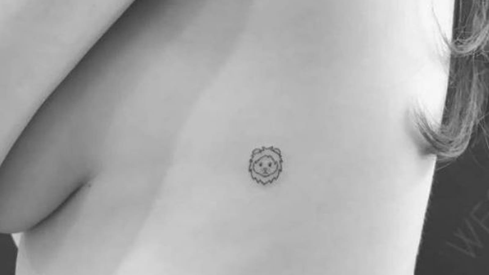 Mini lion sur le flanc