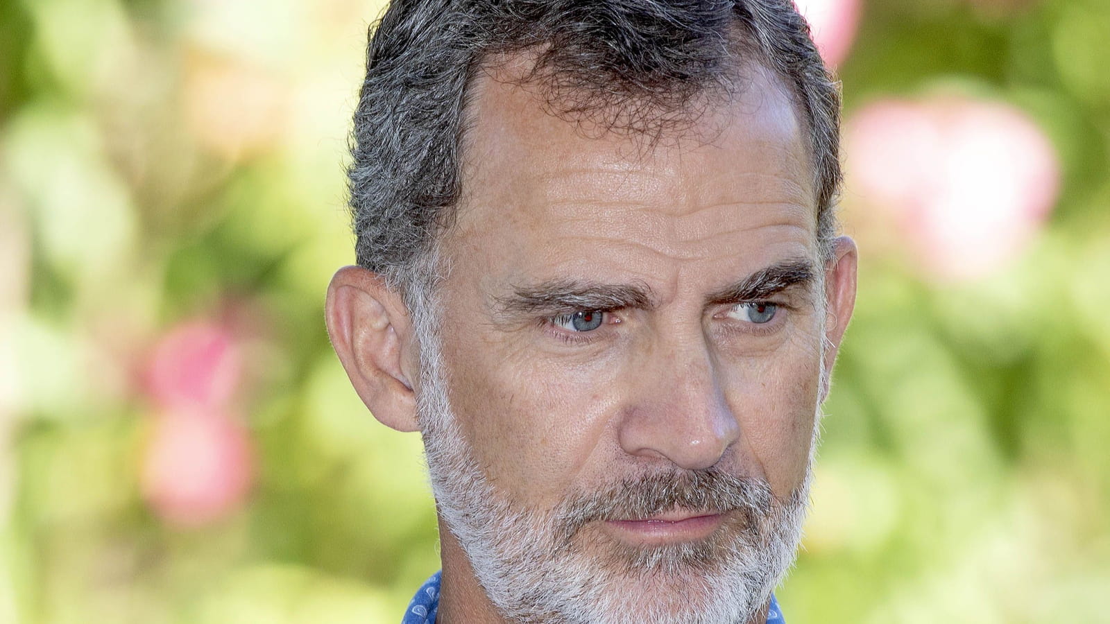 Roi Felipe