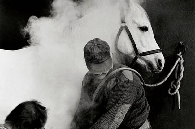 Le mar&eacute;chal-ferrant