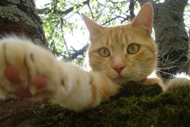 Cooper nous invite &agrave; jouer