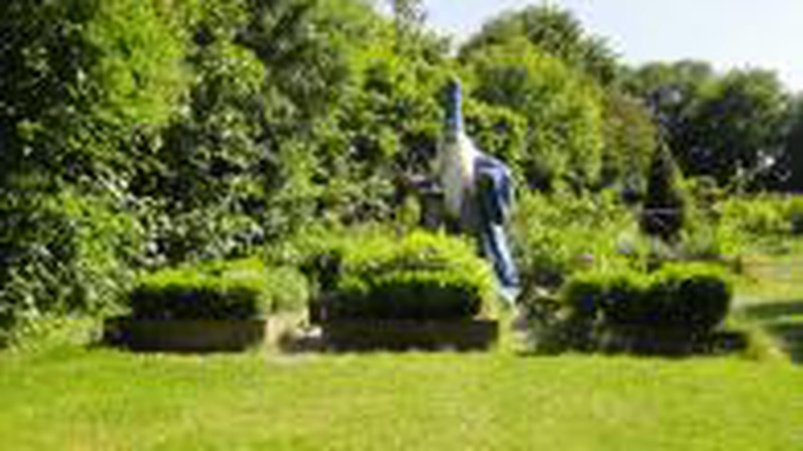 Potager aromatique