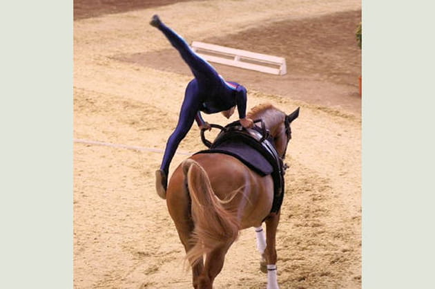 Une discipline pour tous