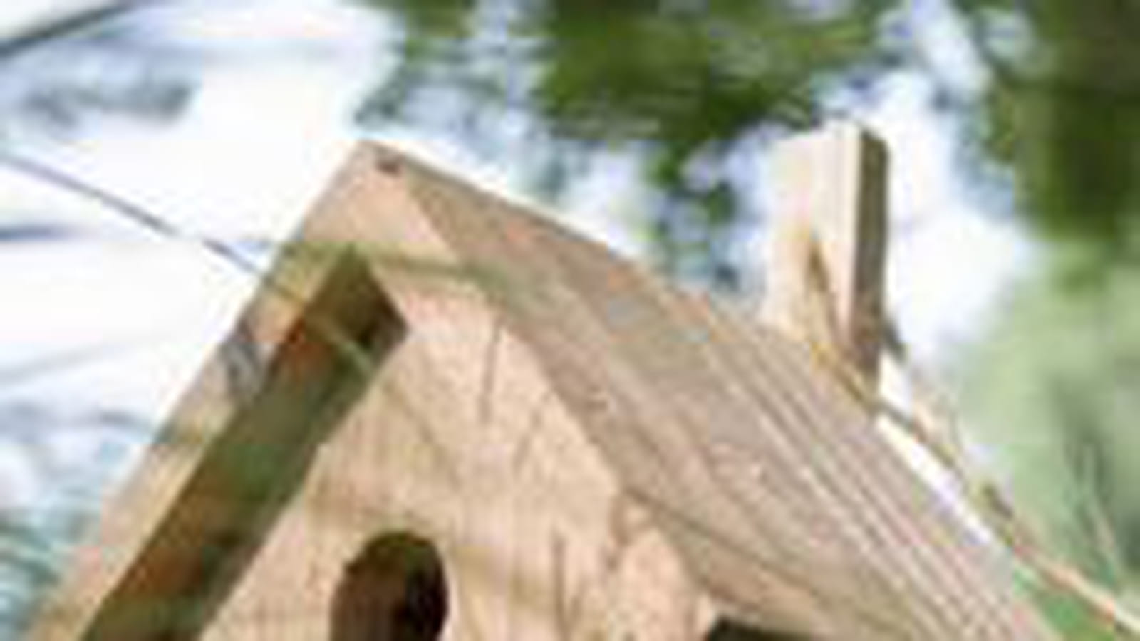 Bois brut