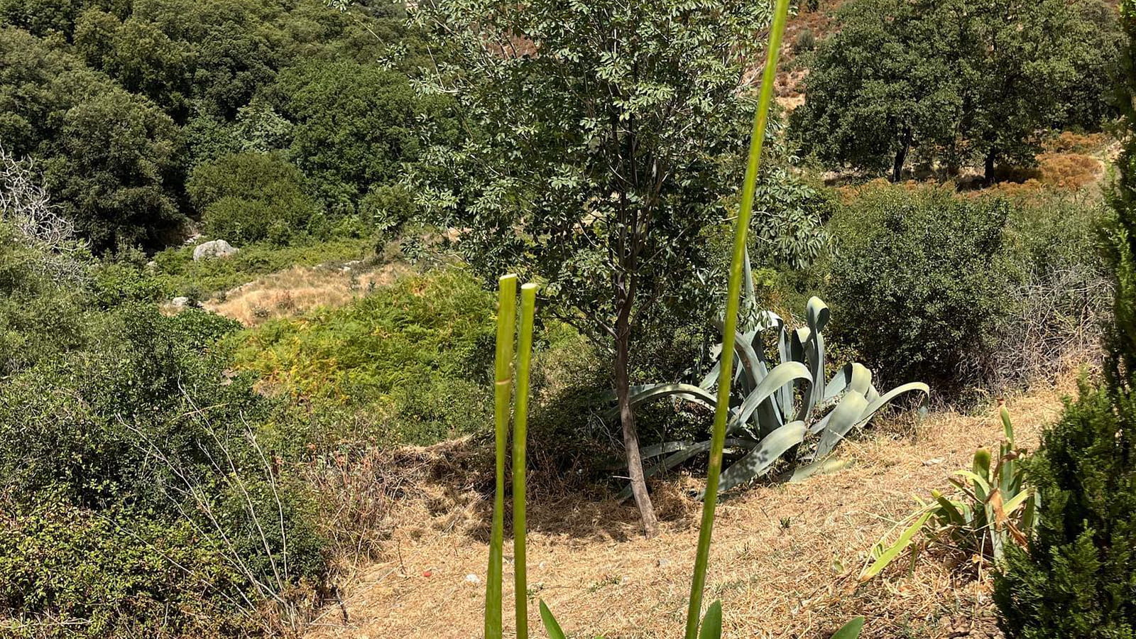 Un grand jardin à entretenir