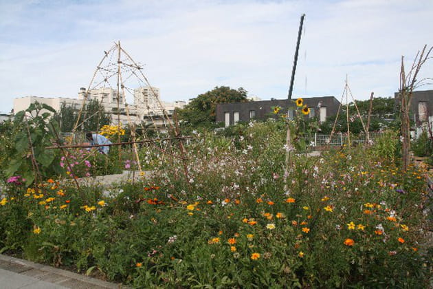 Des arches comme élément de déco