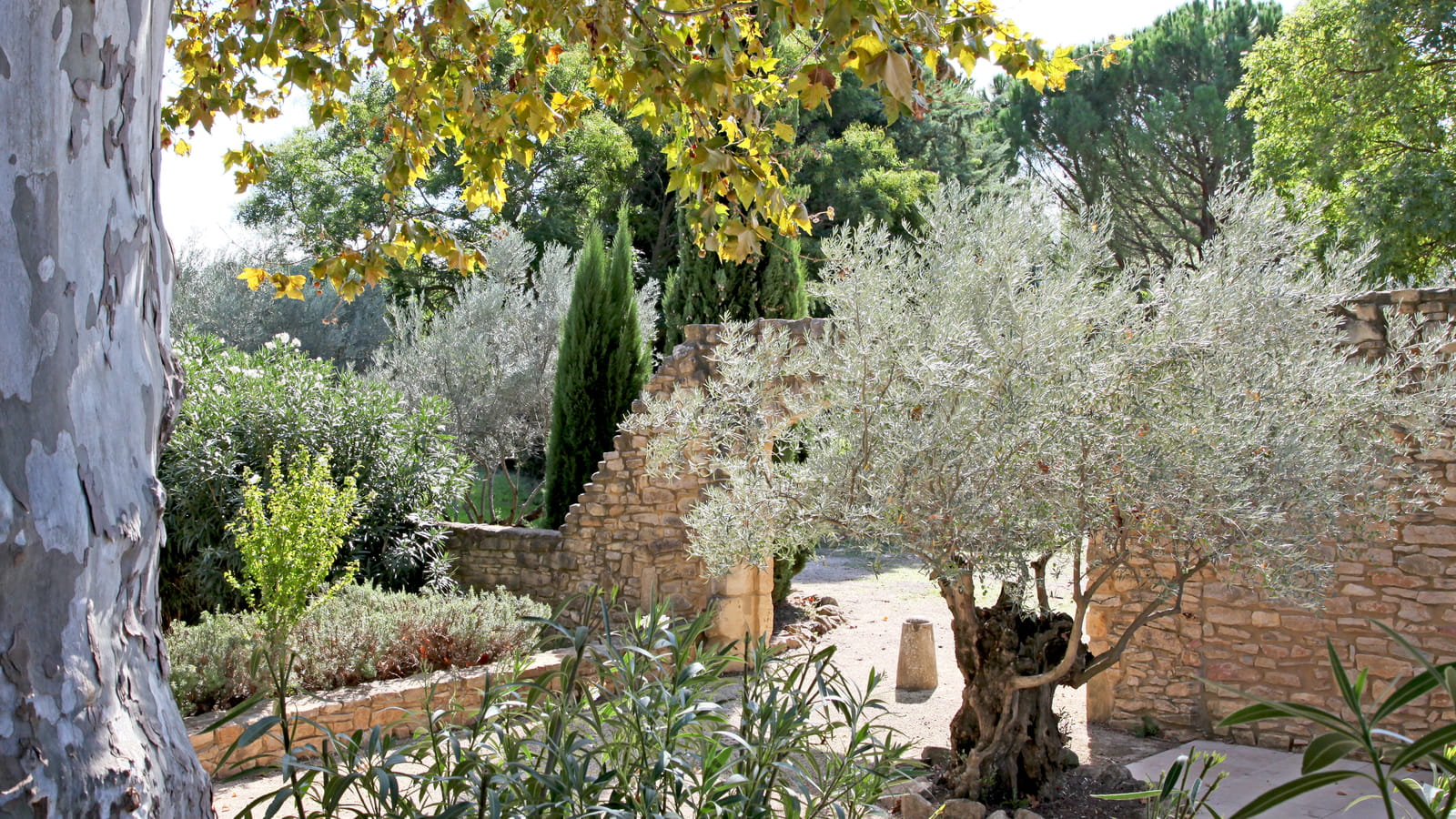 Jardin