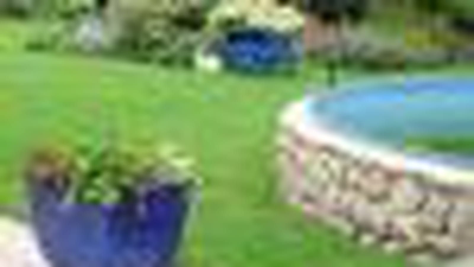 Un jardin vert et bleu