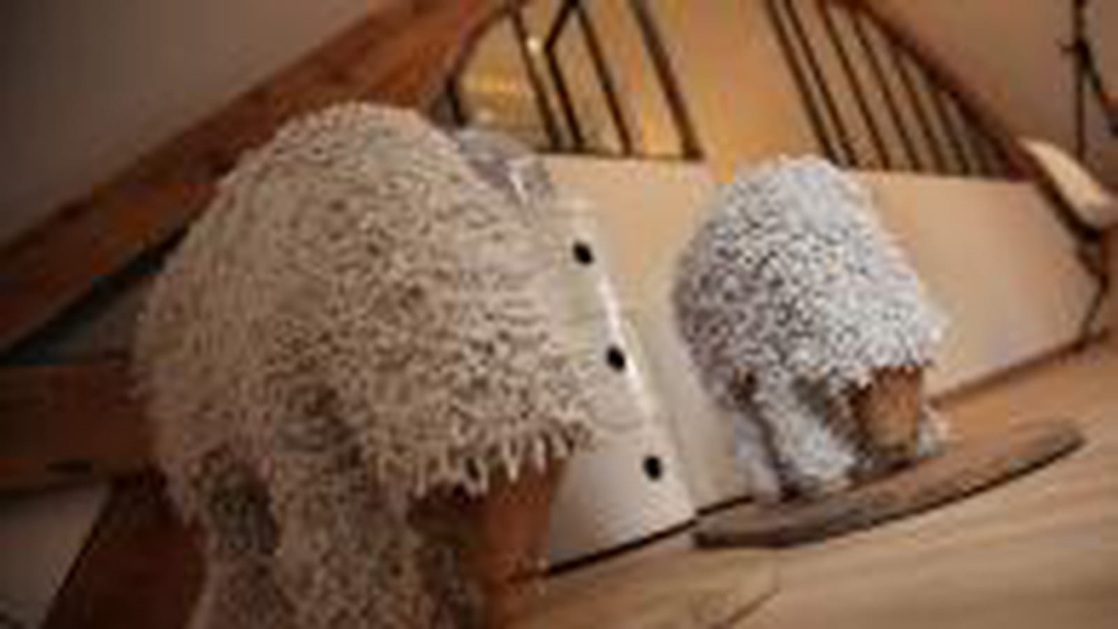 Statues de mouton