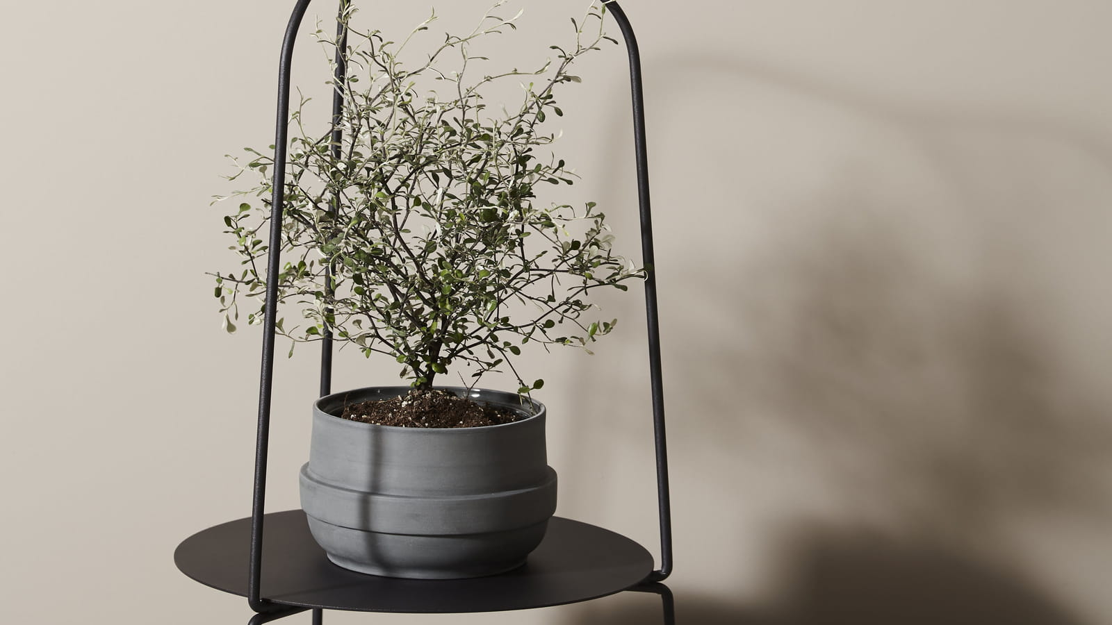 Support de plantes Auka Woud