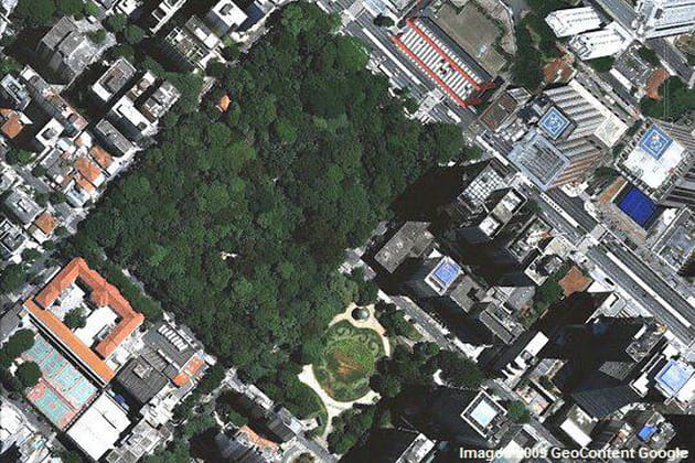 Le jardin public de São Paulo