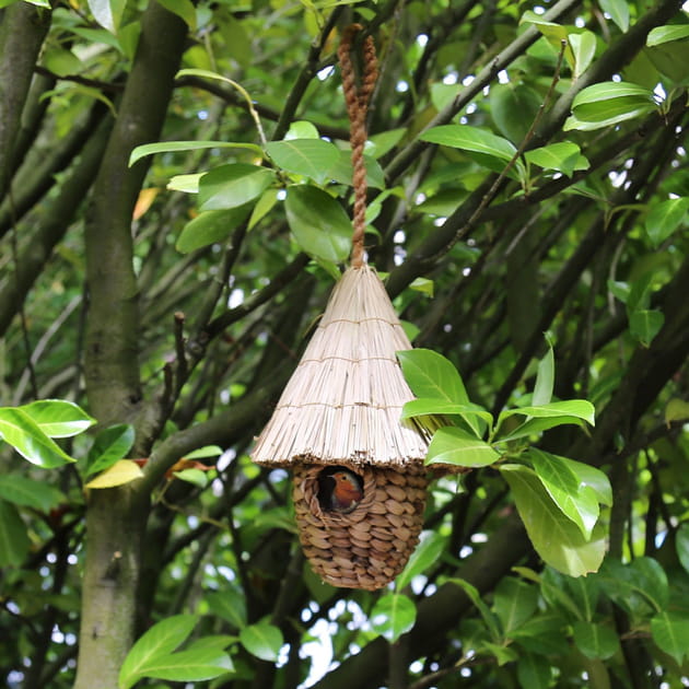 Nichoir en jacinthe d'eau et chaume par Nature et Découvertes
