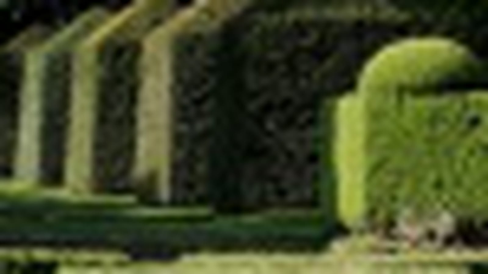 Jardin à la française