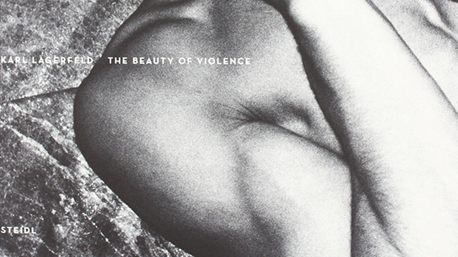 Le livre de photographies "The beauty of Violence"