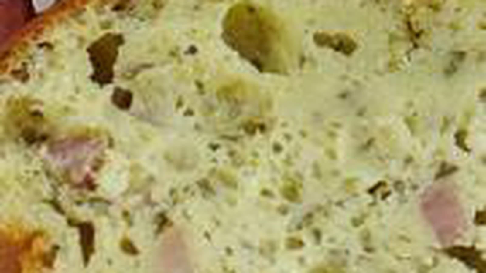 Cake pesto, lardons, parmesan