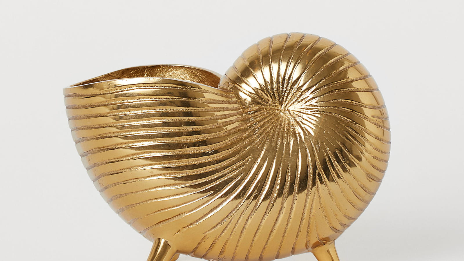 Coupe coquillage