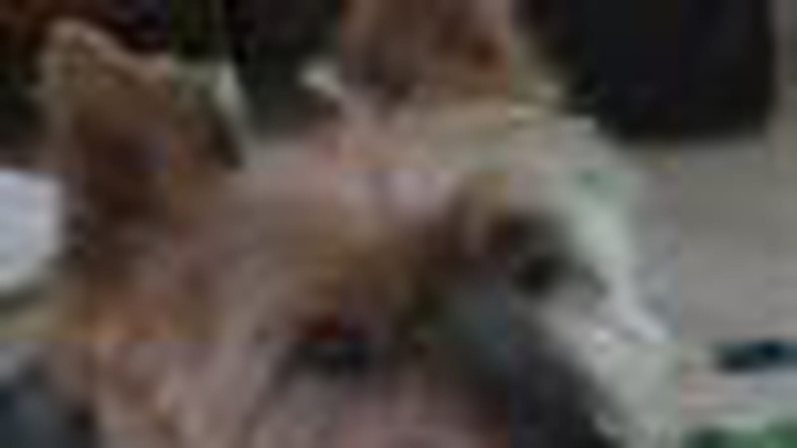 Ma Truffe