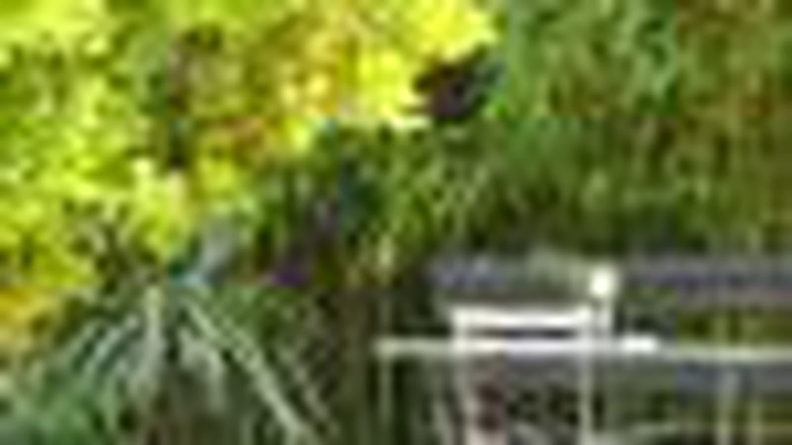 Jardin
