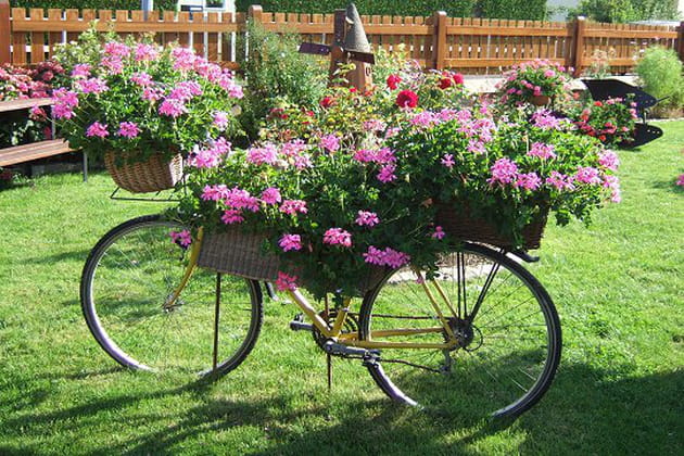 Une dr&ocirc;le de jardini&egrave;re