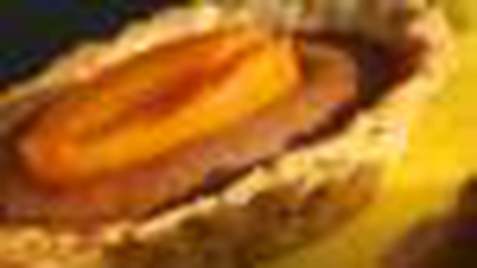 Tartelettes chocolat au lait et abricots poêlés