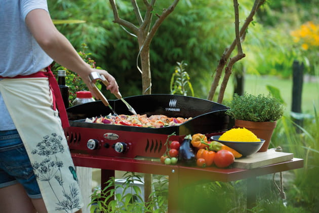 Plancha à gaz avec chariot par Botanic