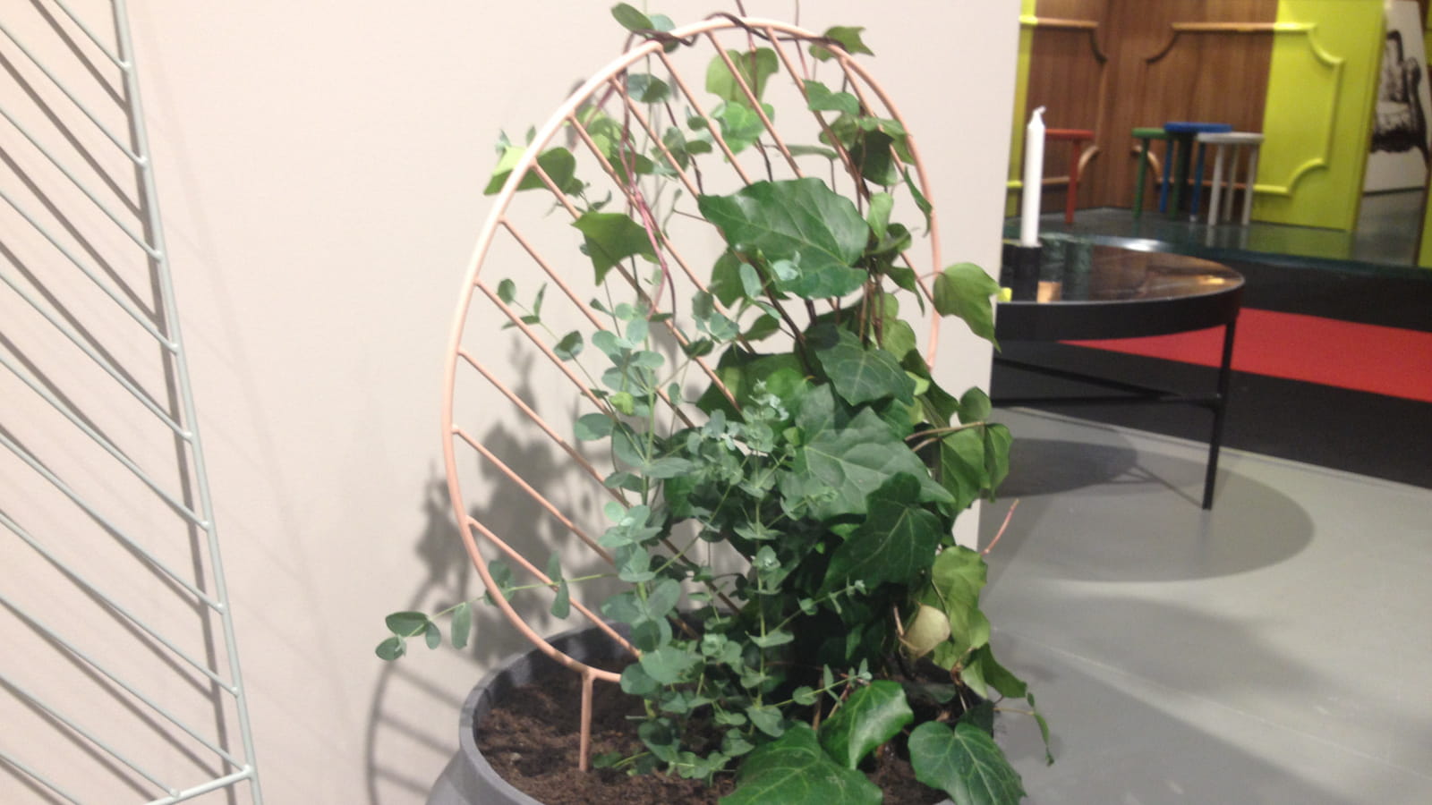 Plant wall circle Ferm Living