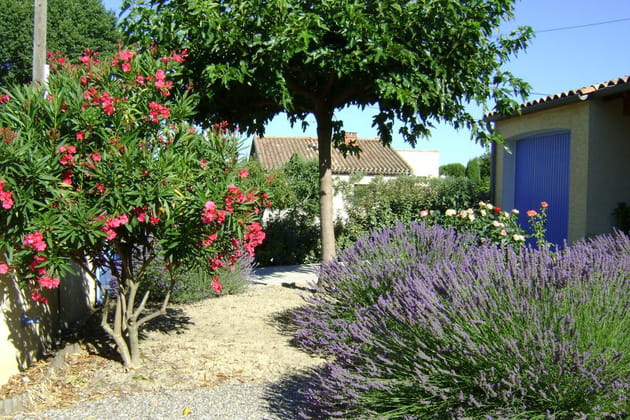 Le jardin de Claudine