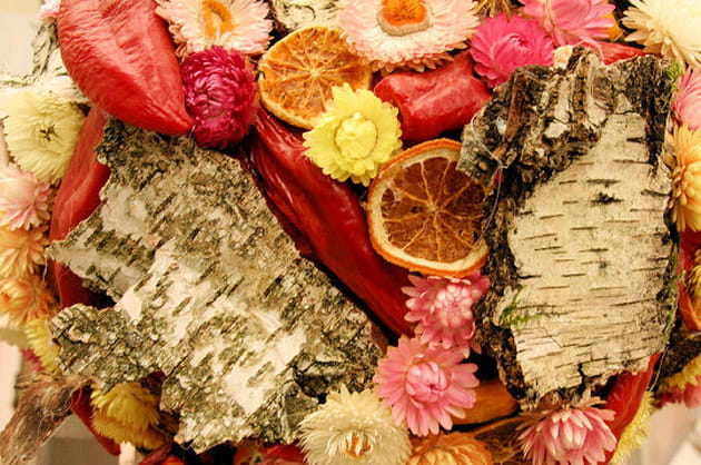 Une écorce qui regorge de fruits