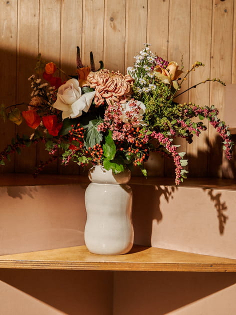 Aster, star de l'automne en forme d'étoile