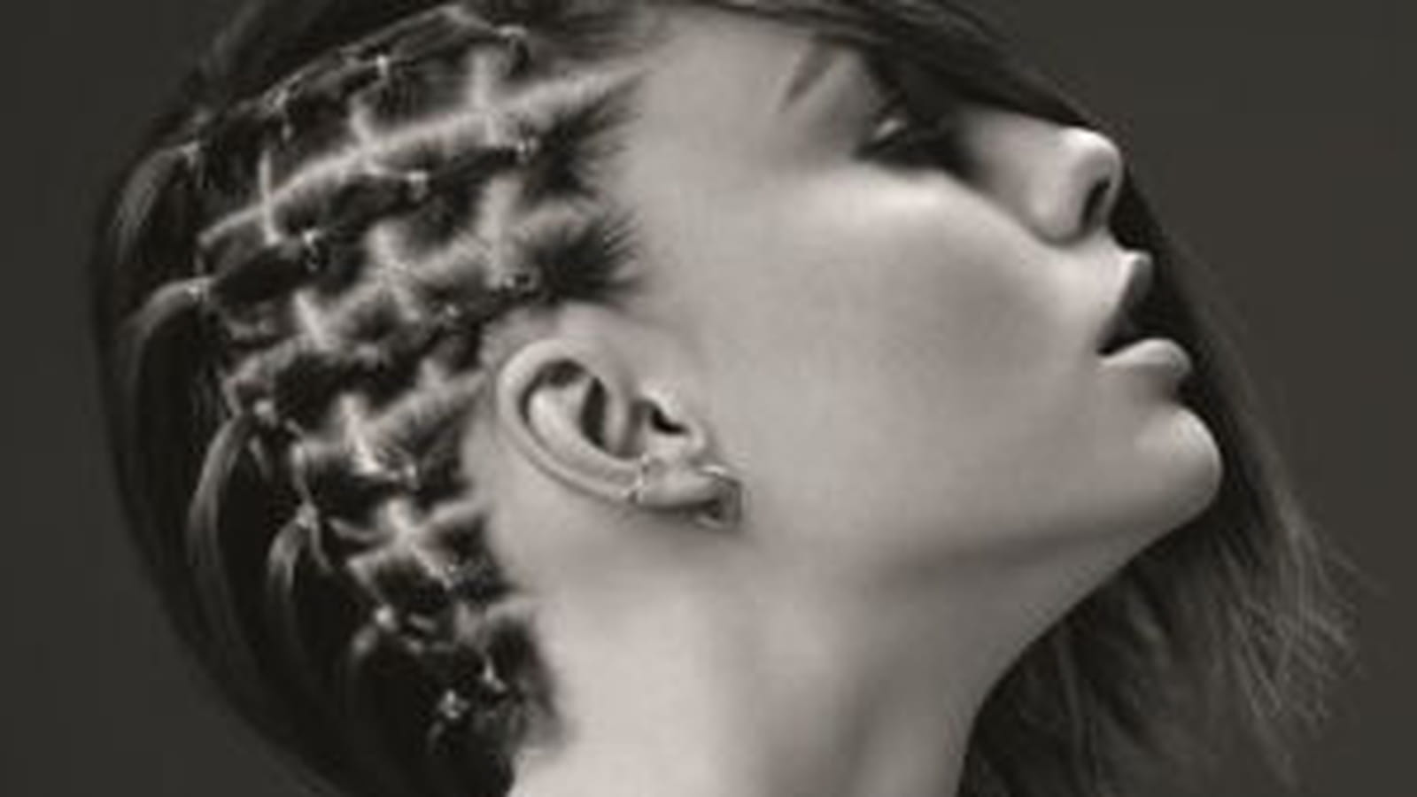 Le half hawk damier par Dessange